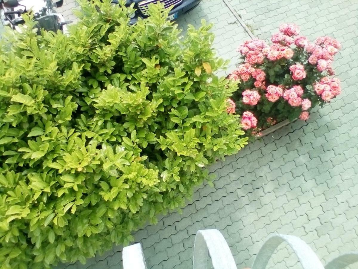 Ana Rooms Krk Town Exterior foto
